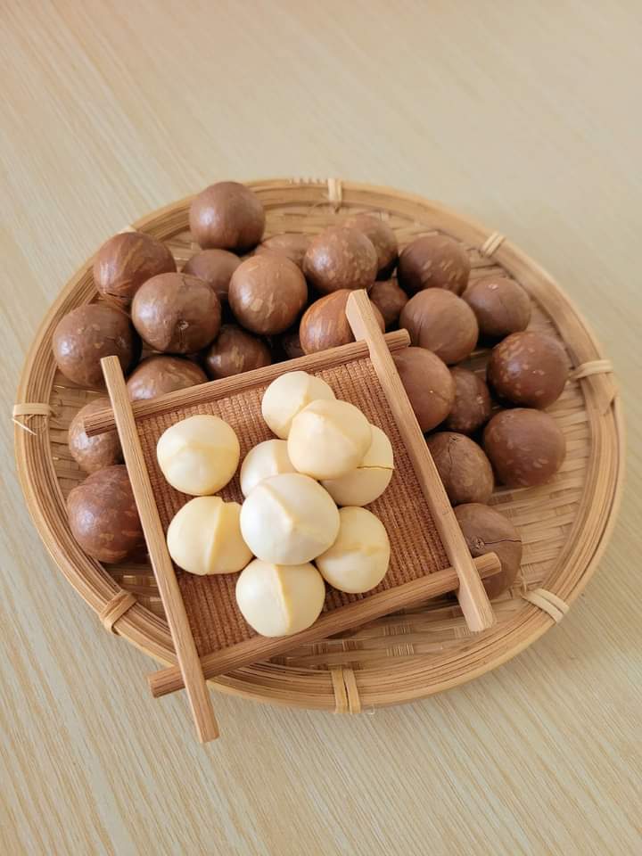 hạt mắc ca